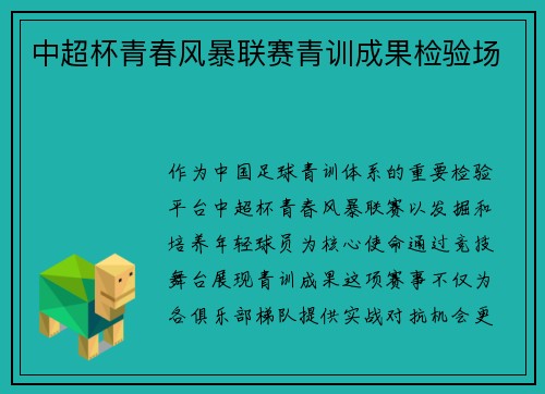 中超杯青春风暴联赛青训成果检验场