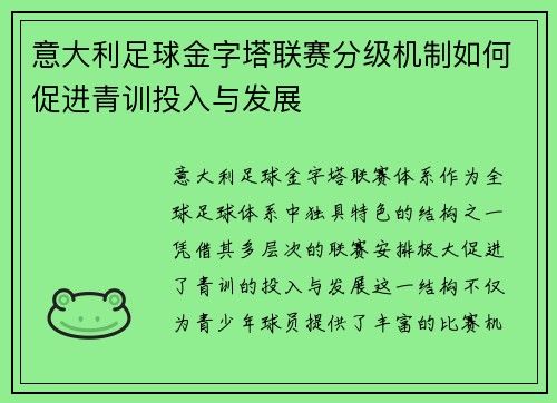 意大利足球金字塔联赛分级机制如何促进青训投入与发展